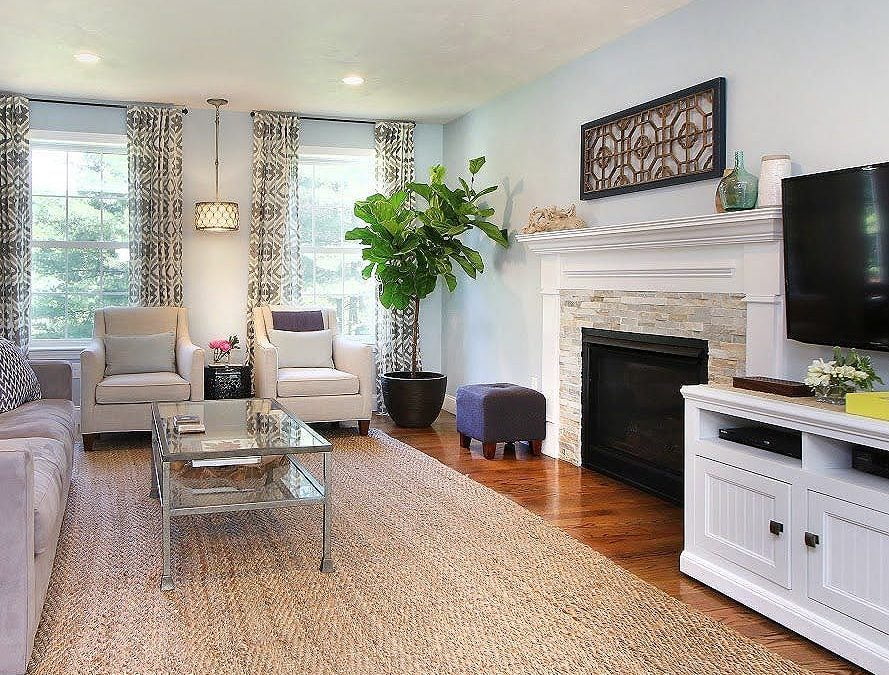 Fiddle leaf fig trees are a perfect statement plant for an empty corner #fiddleleaffig #homedecor #indoorplants #homestaging #homestagingsells #livingroomdecor #indoorplantlove #portlandmaine #heartenhome